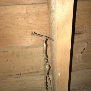 Meet your Posher, Teresa